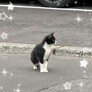 ヒメ日記 2025/09/29 10:18 投稿 そら 札幌回春性感マッサージ倶楽部