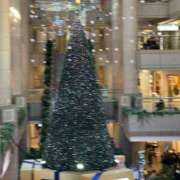 ヒメ日記 2025/01/09 19:58 投稿 ねね OOPS(オップス)