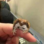 ヒメ日記 2025/01/11 20:24 投稿 ねね OOPS(オップス)