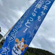 ヒメ日記 2025/02/07 20:33 投稿 ねね OOPS(オップス)