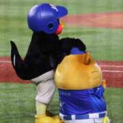 ヒメ日記 2025/02/20 20:33 投稿 ねね OOPS(オップス)