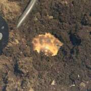 ヒメ日記 2025/05/16 19:01 投稿 ねね OOPS(オップス)