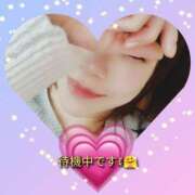 ヒメ日記 2025/02/10 15:20 投稿 さよ 藤沢人妻城