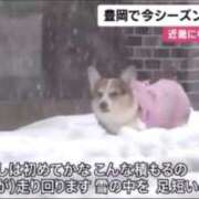 ヒメ日記 2025/12/12 20:03 投稿 みな 全力！！乙女坂46(古町)