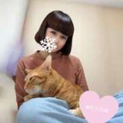 ヒメ日記 2024/12/23 16:45 投稿 冬美まり コウテイ