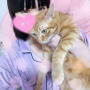 ヒメ日記 2025/02/02 08:45 投稿 冬美まり コウテイ