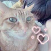 ヒメ日記 2025/04/27 19:25 投稿 冬美まり コウテイ