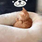 ヒメ日記 2025/04/28 18:49 投稿 冬美まり コウテイ