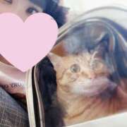 ヒメ日記 2025/05/07 09:47 投稿 冬美まり コウテイ