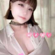 ヒメ日記 2025/06/25 08:45 投稿 冬美まり コウテイ