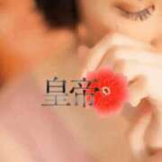 ヒメ日記 2026/04/26 13:55 投稿 冬美まり コウテイ