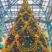 ヒメ日記 2024/12/15 17:55 投稿 えな アムールクリスタル