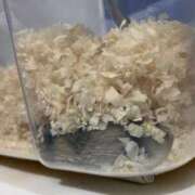 ヒメ日記 2025/03/11 18:20 投稿 えな アムールクリスタル