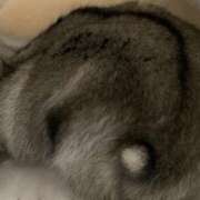 ヒメ日記 2025/05/31 18:20 投稿 えな アムールクリスタル