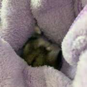 ヒメ日記 2025/06/04 18:00 投稿 えな アムールクリスタル