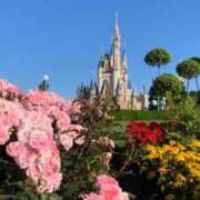 ヒメ日記 2025/06/10 18:20 投稿 えな アムールクリスタル