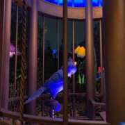 ヒメ日記 2025/07/01 15:45 投稿 えな アムールクリスタル