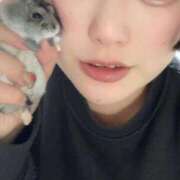 ヒメ日記 2025/12/27 09:05 投稿 えな アムールクリスタル