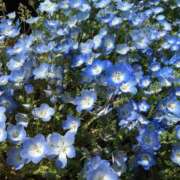 ヒメ日記 2026/05/02 09:05 投稿 えな アムールクリスタル