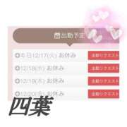 ヒメ日記 2024/12/17 23:16 投稿 四葉(よつば) カリビアンマッサージ 天使のゆびさき 岡山店