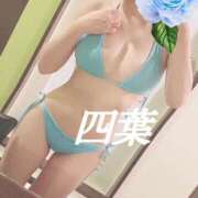 ヒメ日記 2024/12/21 00:12 投稿 四葉(よつば) カリビアンマッサージ 天使のゆびさき 岡山店