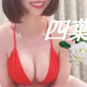 ヒメ日記 2025/01/13 22:02 投稿 四葉(よつば) カリビアンマッサージ 天使のゆびさき 岡山店