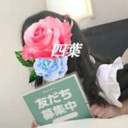 ヒメ日記 2025/01/30 20:32 投稿 四葉(よつば) カリビアンマッサージ 天使のゆびさき 岡山店