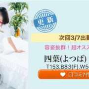 ヒメ日記 2025/03/05 12:58 投稿 四葉(よつば) カリビアンマッサージ 天使のゆびさき 岡山店