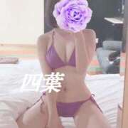 ヒメ日記 2025/06/25 13:20 投稿 四葉(よつば) カリビアンマッサージ 天使のゆびさき 岡山店