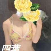 ヒメ日記 2025/10/20 00:42 投稿 四葉(よつば) カリビアンマッサージ 天使のゆびさき 岡山店