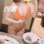 ヒメ日記 2025/10/20 00:50 投稿 四葉(よつば) カリビアンマッサージ 天使のゆびさき 岡山店