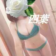 ヒメ日記 2026/06/23 12:54 投稿 四葉(よつば) カリビアンマッサージ 天使のゆびさき 岡山店