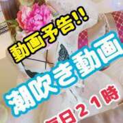 ヒメ日記 2023/10/30 11:14 投稿 つばさ 浜松駅前ちゃんこ