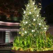 ヒメ日記 2024/12/17 02:00 投稿 ひより 東京エステコレクション 新橋・銀座