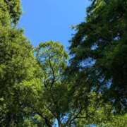 ヒメ日記 2025/07/03 14:30 投稿 愛原えま 松戸人妻花壇