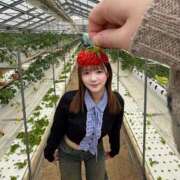 ヒメ日記 2026/03/26 17:58 投稿 まろん ワンダーホール24