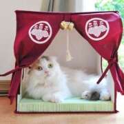 ヒメ日記 2024/12/14 18:04 投稿 利沙子 越谷熟女デリヘル マダムエプロン