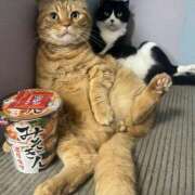 ヒメ日記 2024/12/31 11:17 投稿 利沙子 越谷熟女デリヘル マダムエプロン