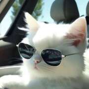 ヒメ日記 2025/01/10 20:11 投稿 利沙子 越谷熟女デリヘル マダムエプロン