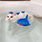 ヒメ日記 2025/02/09 18:37 投稿 利沙子 越谷熟女デリヘル マダムエプロン