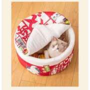 ヒメ日記 2025/02/18 00:07 投稿 利沙子 越谷熟女デリヘル マダムエプロン