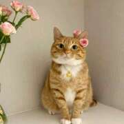 ヒメ日記 2025/03/06 23:52 投稿 利沙子 越谷熟女デリヘル マダムエプロン