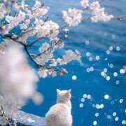 ヒメ日記 2025/03/07 10:59 投稿 利沙子 越谷熟女デリヘル マダムエプロン