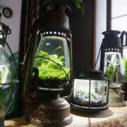 ヒメ日記 2025/03/11 23:30 投稿 利沙子 越谷熟女デリヘル マダムエプロン