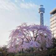 ヒメ日記 2025/03/31 11:16 投稿 利沙子 越谷熟女デリヘル マダムエプロン