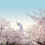 ヒメ日記 2025/04/03 11:14 投稿 利沙子 越谷熟女デリヘル マダムエプロン