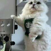 ヒメ日記 2025/04/04 15:42 投稿 利沙子 越谷熟女デリヘル マダムエプロン