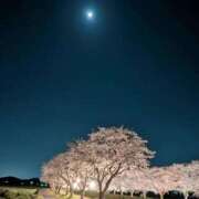 ヒメ日記 2025/04/11 00:22 投稿 利沙子 越谷熟女デリヘル マダムエプロン