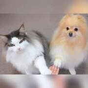 ヒメ日記 2025/04/17 14:48 投稿 利沙子 越谷熟女デリヘル マダムエプロン