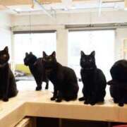 ヒメ日記 2025/04/18 18:45 投稿 利沙子 越谷熟女デリヘル マダムエプロン